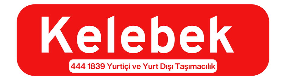 Avcılar Evden Eve Nakliyat